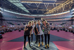 One Direction on the Where We Are tour